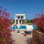 Alfie Luxury With Private Pool Pefkochori