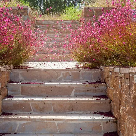 Alfie Luxury With Private Pool Apartment