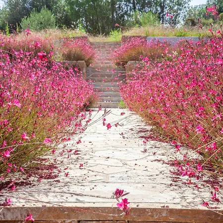 Apartment Alfie Luxury With Private Pool Pefkochori